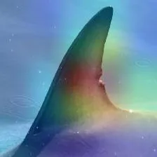Grad-CAM heatmap over a dusky dolphin's dorsal fin