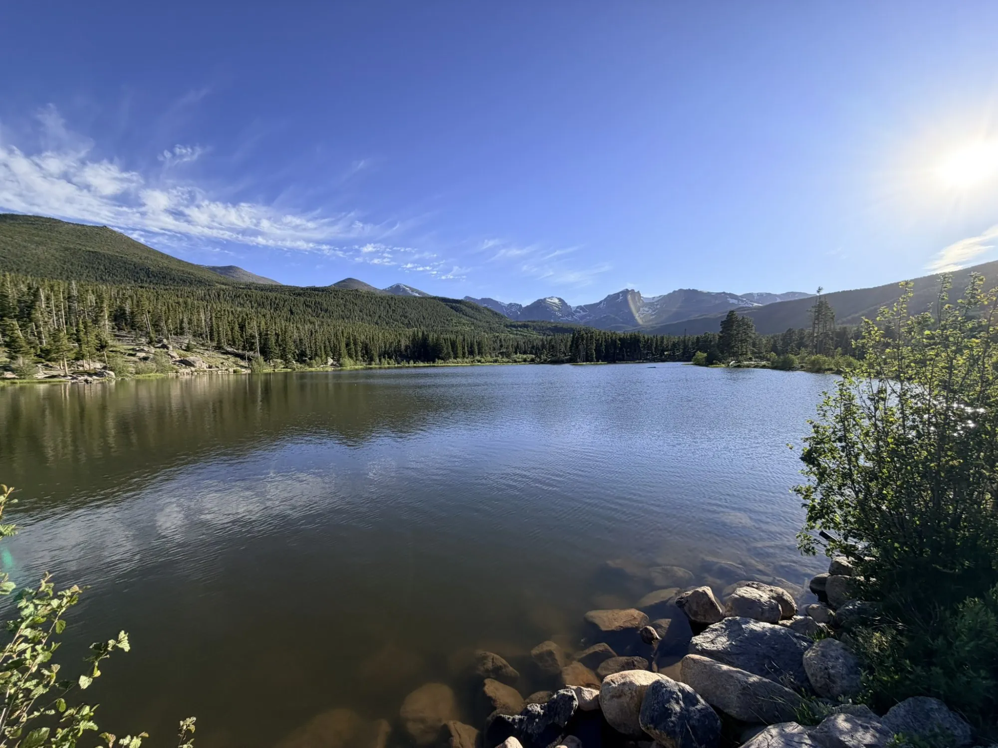 Alpine lake under a clear sky, with pines and snowy peaks on the far shore